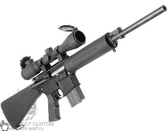 Bushmaster V Match Carbine. G&P Bushmaster Kit For M4A1