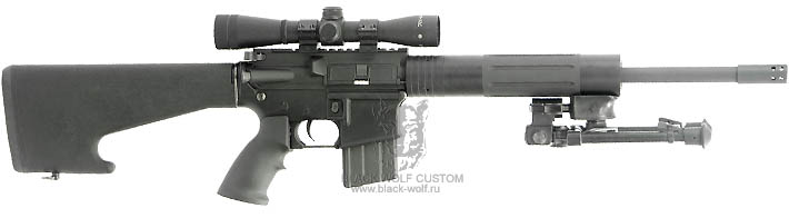 Diemaco 5.56mm C8CT (custom Tactical)