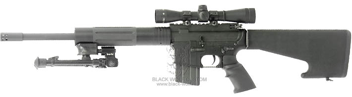 Diemaco 5.56mm C8CT (custom Tactical)