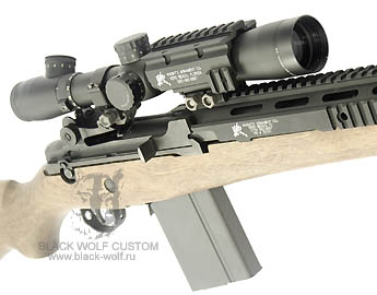 Custom RAS M14 Wood Stock